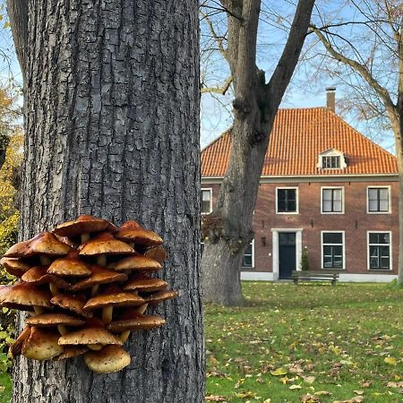 B&B Huize Placida Boxmeer Εξωτερικό φωτογραφία